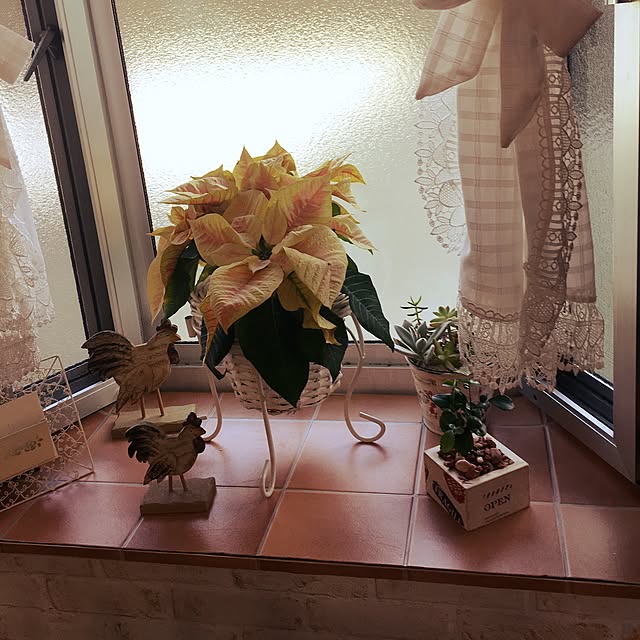 burgundy.roseさんの実例写真