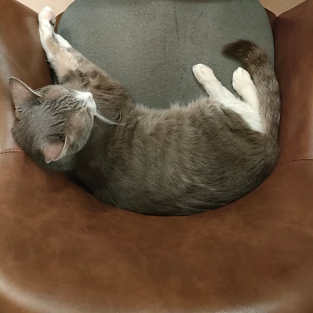 Yoko622さんの実例写真