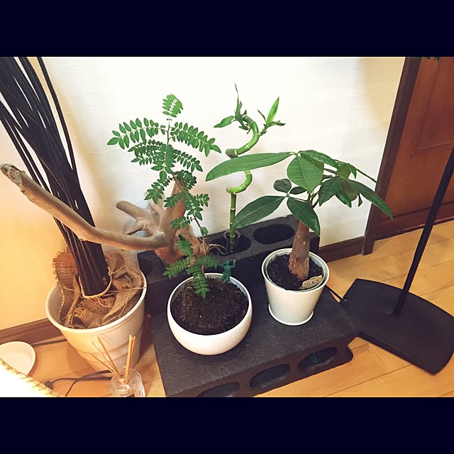 RYOROOMさんの実例写真