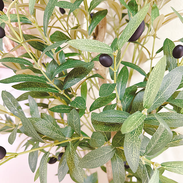 miemekkoさんの部屋