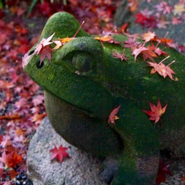 akaneさんの実例写真