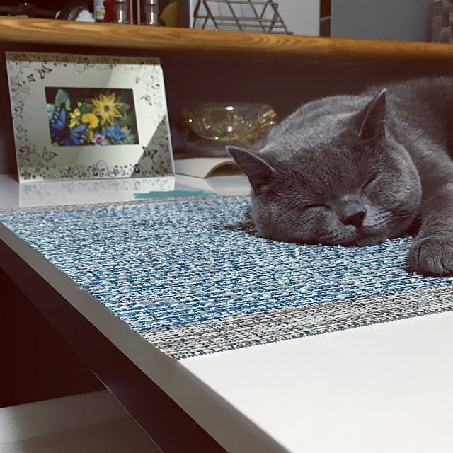 kittyさんの実例写真