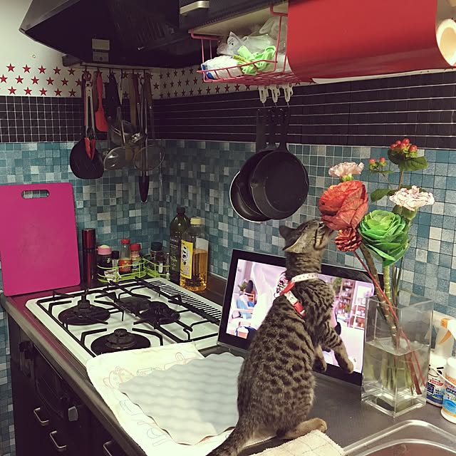 ukkun55さんの実例写真