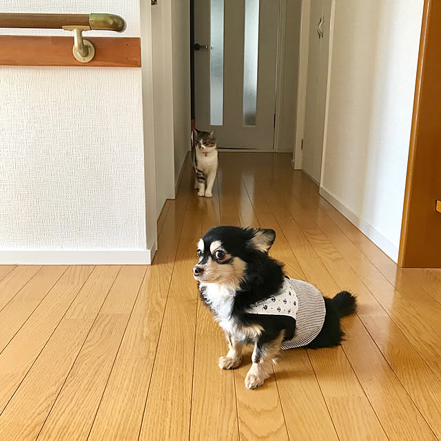 mugikoさんの実例写真