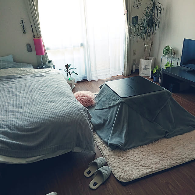 Noriさんの実例写真
