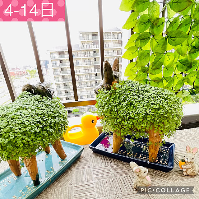 aureaさんの実例写真
