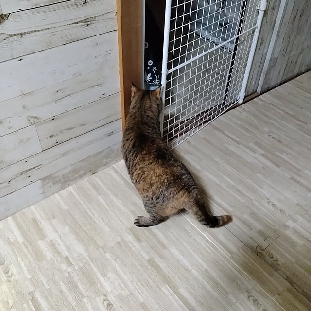 runaさんの実例写真