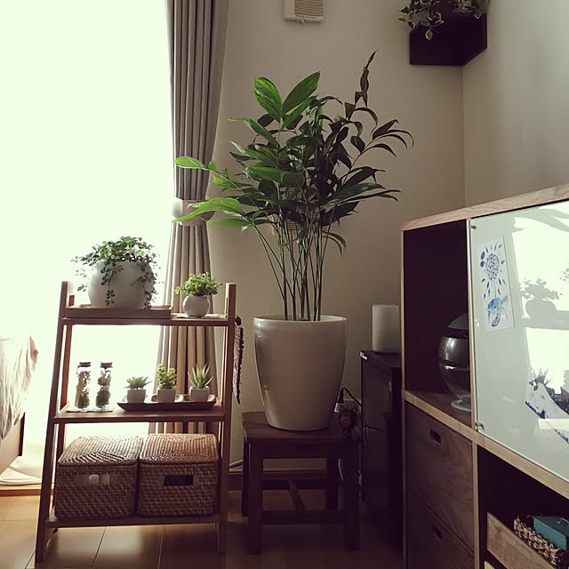 dattyo09さんの実例写真