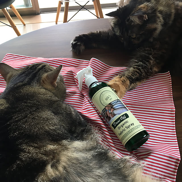 mikomaruさんの実例写真