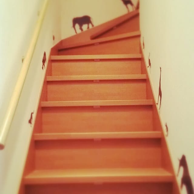 kaorikoさんの実例写真