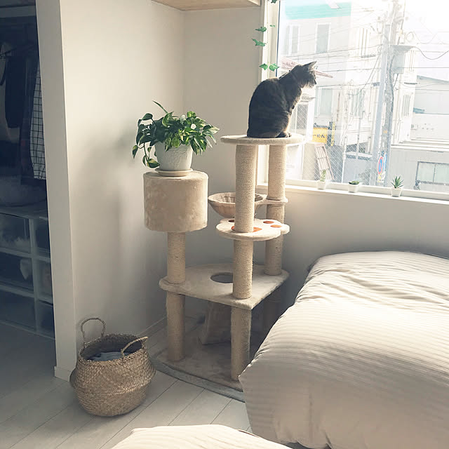 minminさんの実例写真