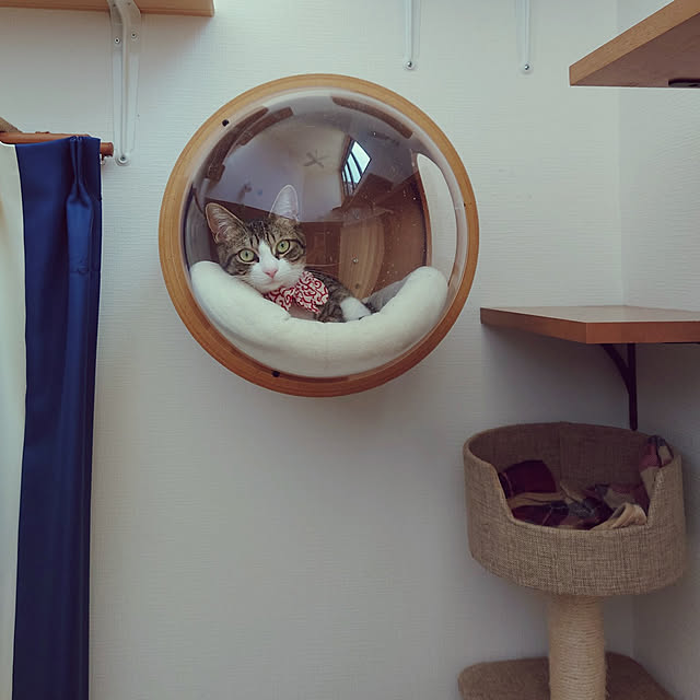 mochicoさんの実例写真