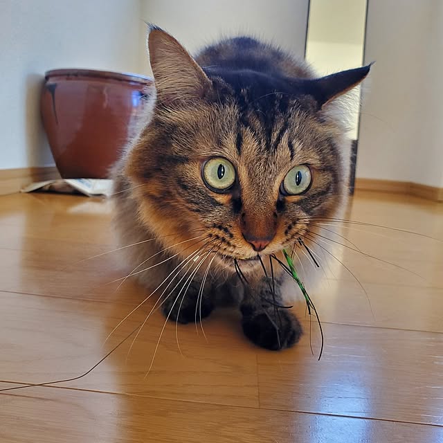 makoさんの部屋