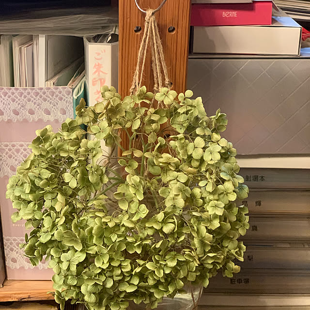 satominさんの実例写真