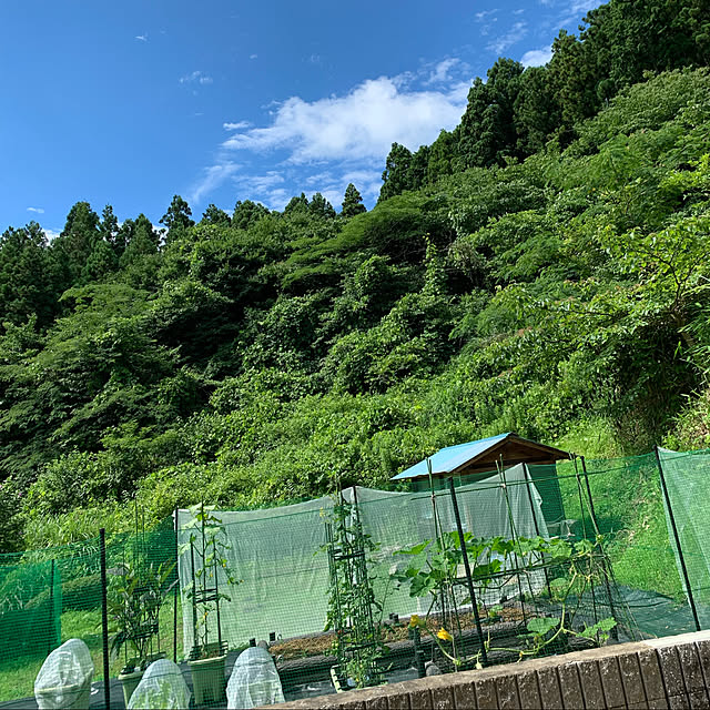 ayanon.さんの実例写真