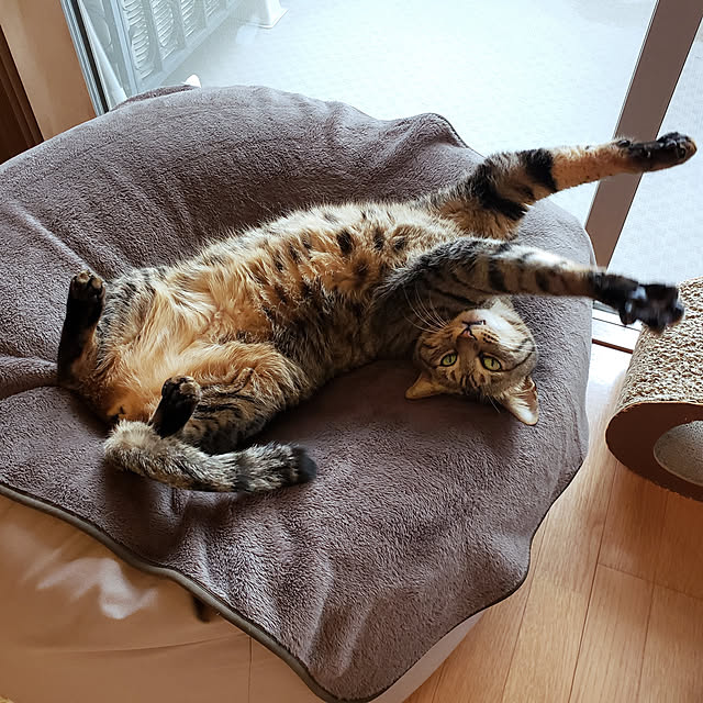 mitu_masaoさんの実例写真