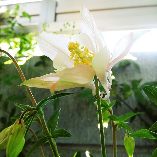 Hinataさんの実例写真