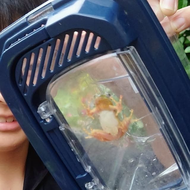 kikuさんの部屋