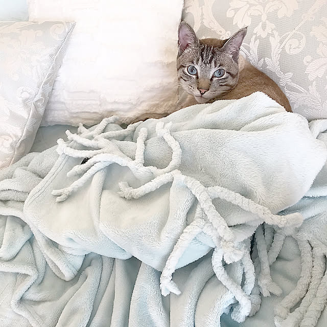 chieさんの実例写真