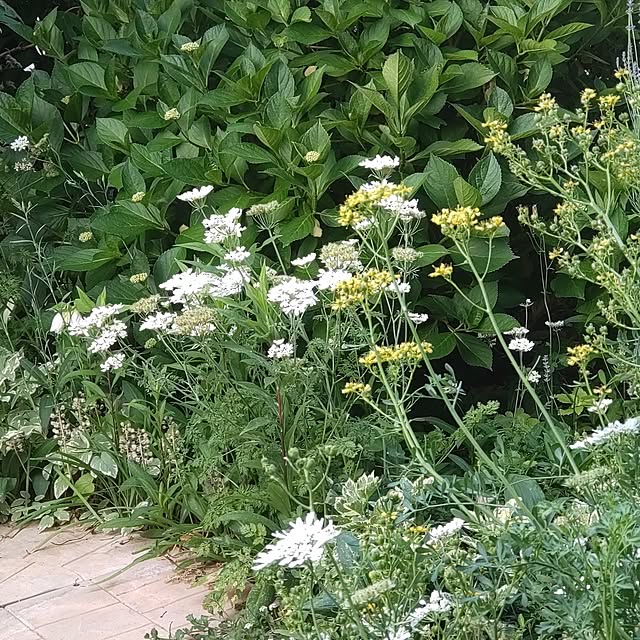 Hujikoさんの部屋