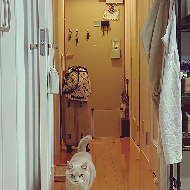 nicoさんの実例写真