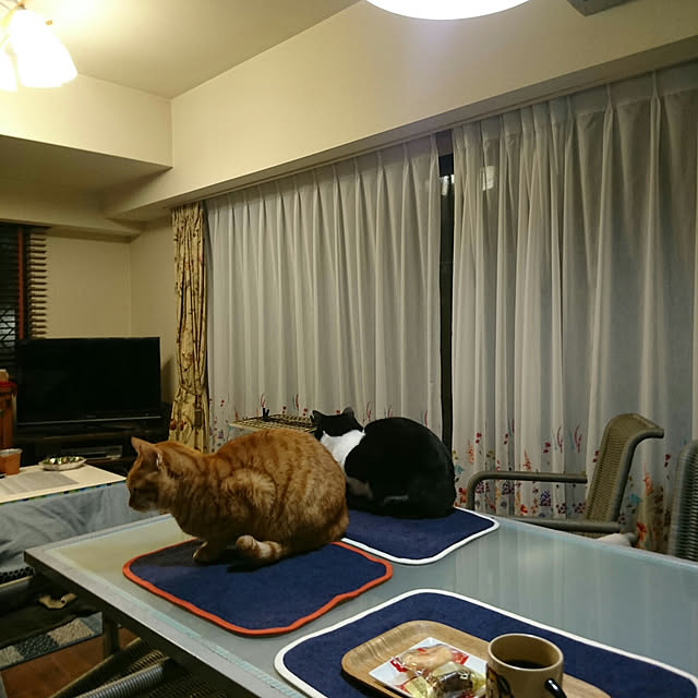 okyosan101さんの実例写真