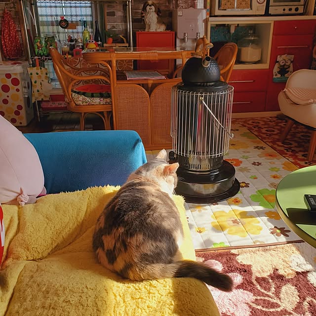kumutanさんの部屋
