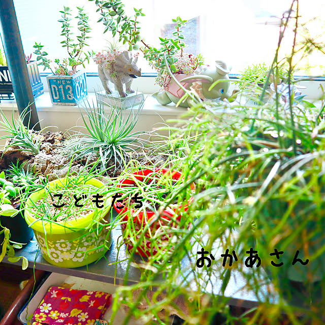 rukakoさんの実例写真