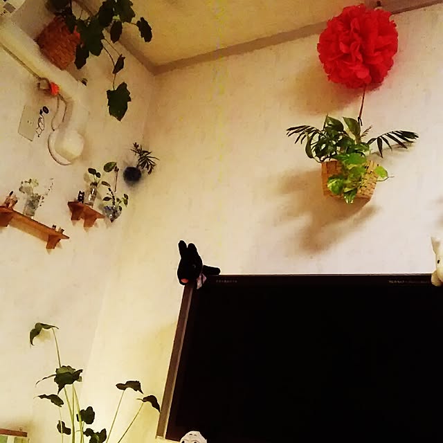 実例写真