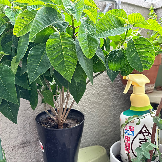 mizucchiさんの部屋