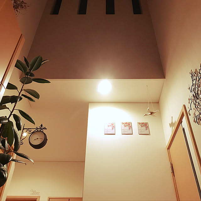 runiさんの実例写真