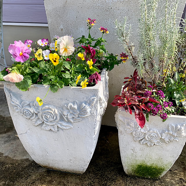 AYUKOさんの実例写真