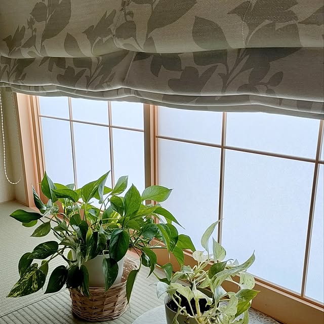 junpyonさんの実例写真