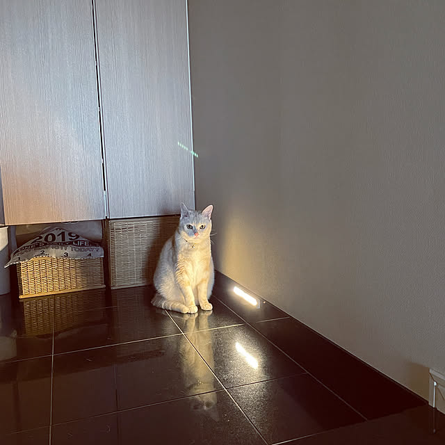 hiyupan88さんの実例写真
