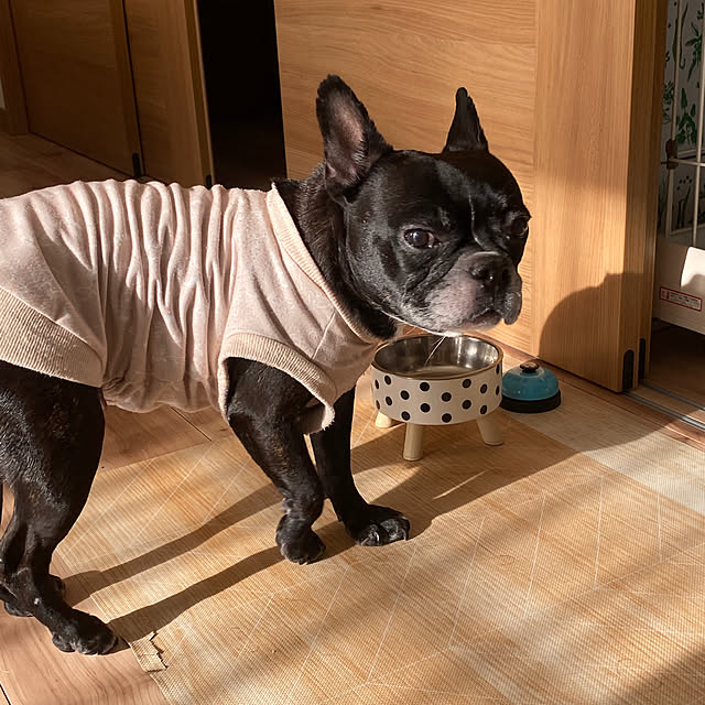 kotaroさんの部屋