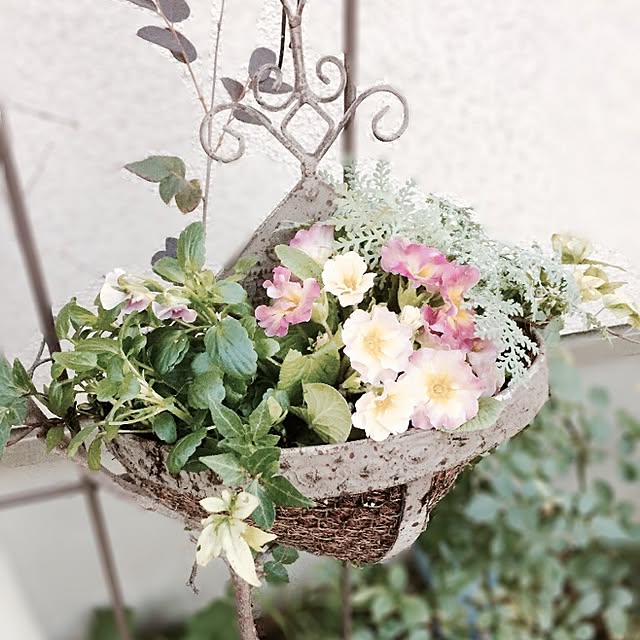 yuchi_chiさんの実例写真