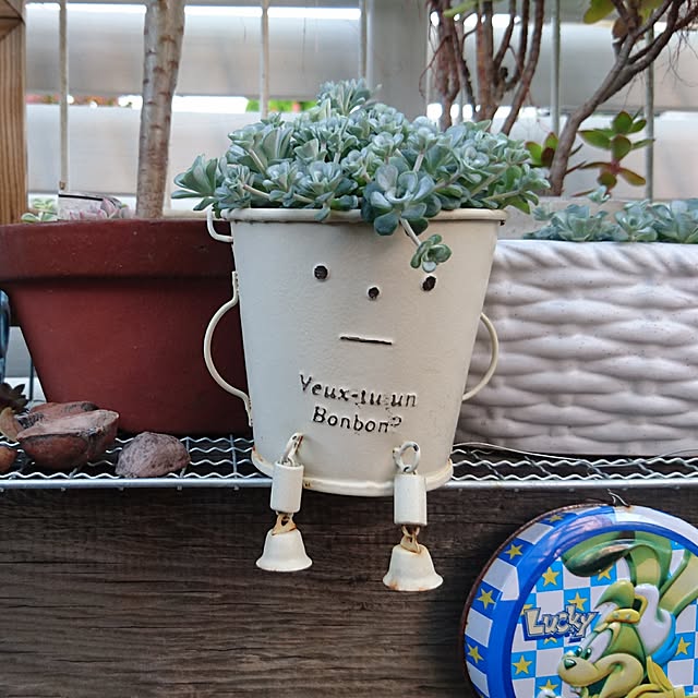 pocoさんの実例写真