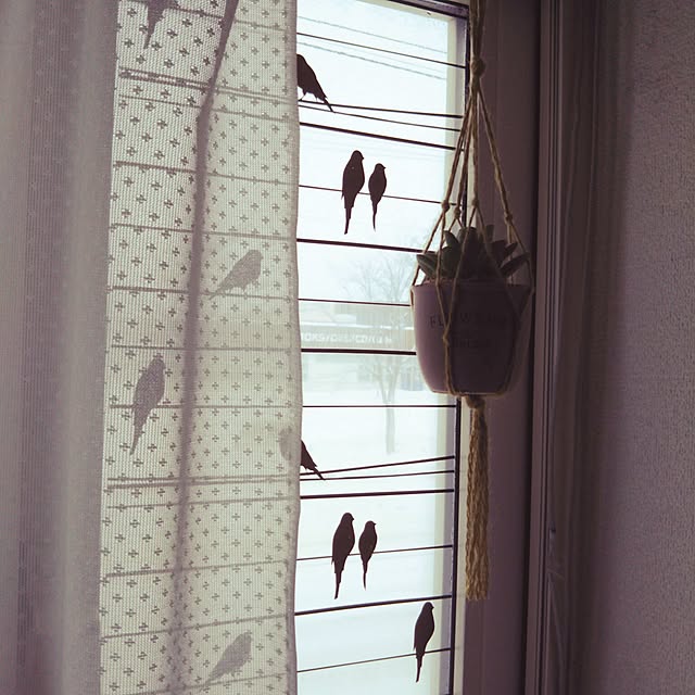 chinon7211さんの実例写真