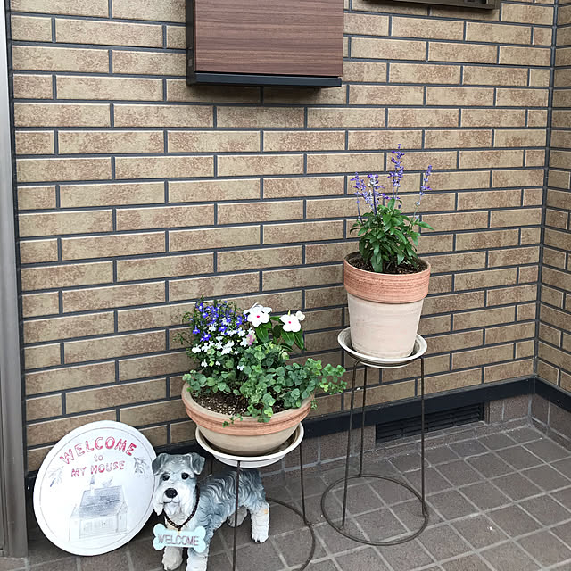 chiitanさんの実例写真