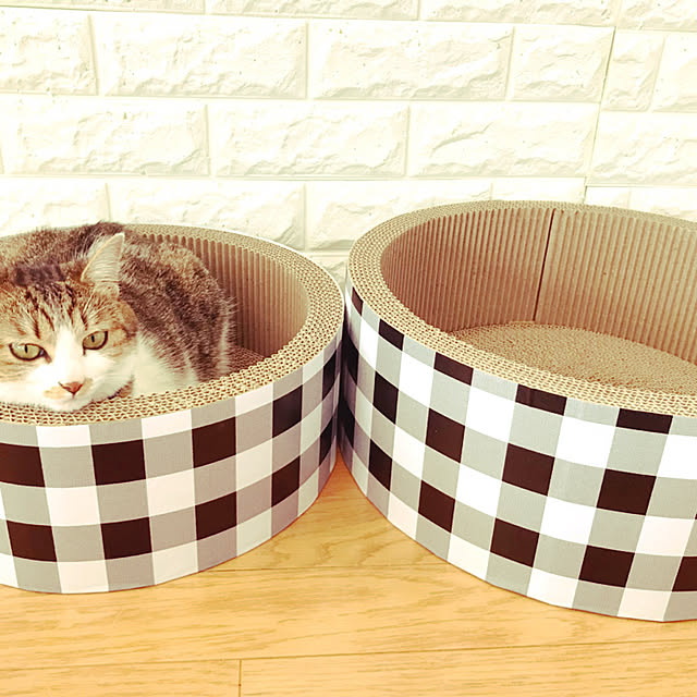 mya___kさんの実例写真