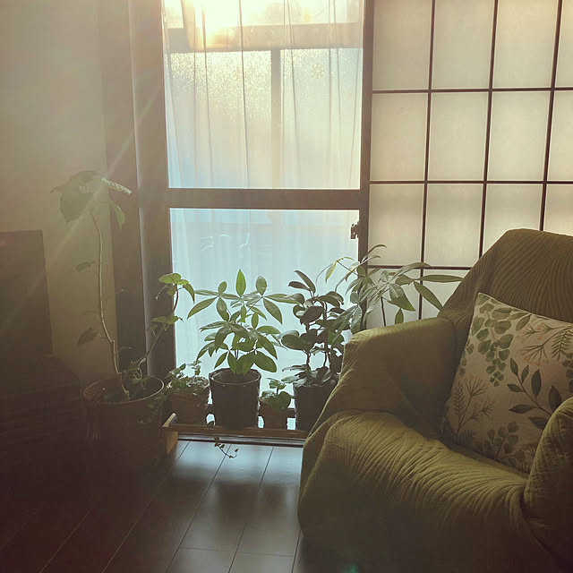 mommyさんの実例写真