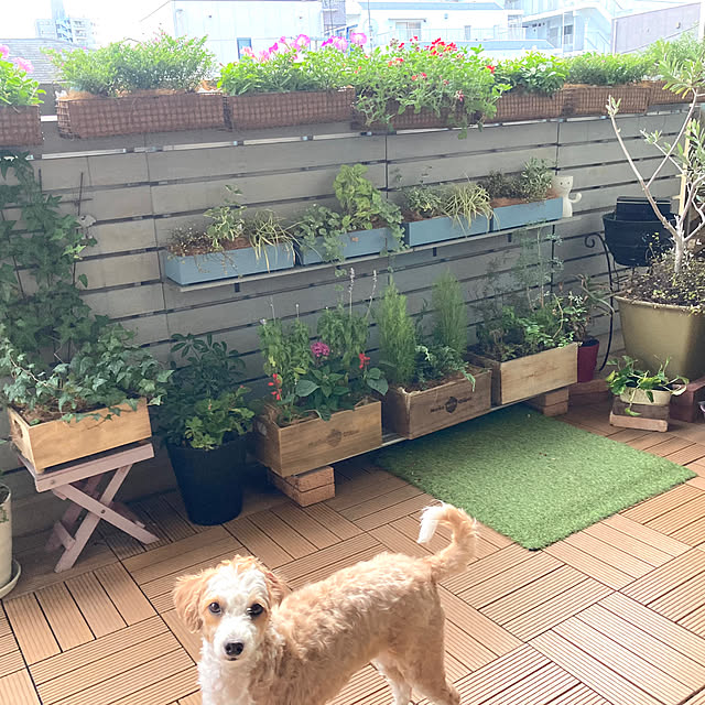marukoさんの部屋