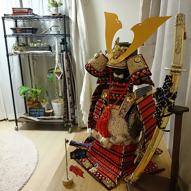 soraさんの実例写真