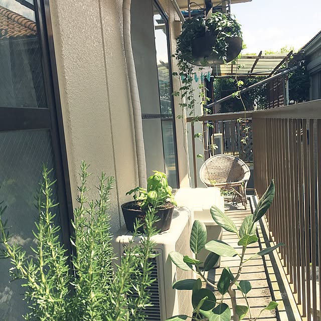 miraiさんの実例写真