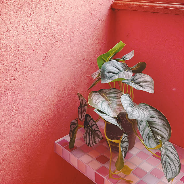 gloutonさんの実例写真