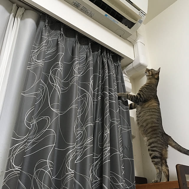 mikomaruさんの実例写真