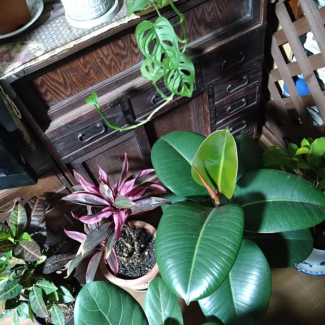 nacoさんの部屋