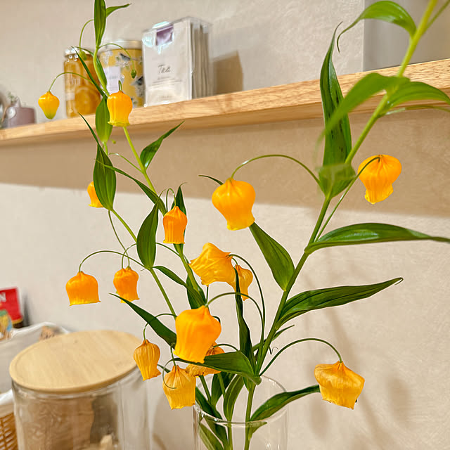 y.tora5さんの部屋