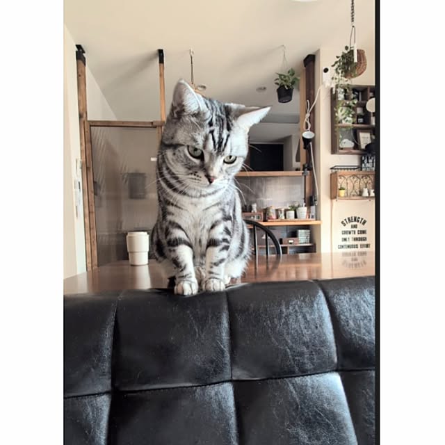 lovepeaceさんの部屋