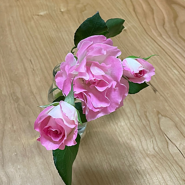 ronronさんの部屋